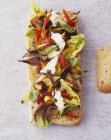 Sandwich di verdure alla griglia — Foto stock