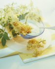 Vista ravvicinata della frittella di fiori di sambuco con fiori di sambuco e crema — Foto stock