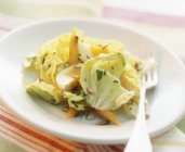 Closeup view of salad with lettuce and boiled egg — Stock Photo