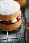 Mini Victoria gâteau éponge — Photo de stock