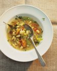 Суп с белыми бобами и овощами — стоковое фото