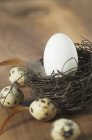 Vue rapprochée d'un œuf blanc dans un nid de Pâques avec des œufs de caille — Photo de stock