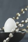Close-up vista de um ovo branco em uma tigela entre galhos de salgueiro buceta — Fotografia de Stock