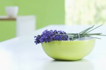 Bunch of lavender in a bowl — Stock Photo