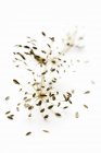 Raw Dill seeds — Stock Photo