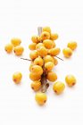 Bacche di olivello spinoso su ramo — Foto stock