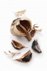 Dried garlic bulb — Stock Photo