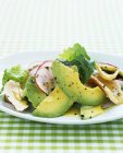 Avocado salad with chicken and radishes — Stock Photo