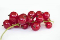 Fresh ripe Redcurrants — Stock Photo
