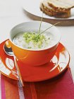 Овощной суп с рубленым луком — стоковое фото