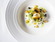 Scallops with fennel and melon on white plate — Stock Photo