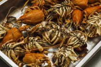 Closeup view of roasted crayfish bones on metal tray — Stock Photo