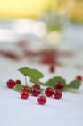 Ribes rosso fresco con foglie — Foto stock