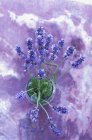 Closeup elevated view of a lavender flowers bunch in a glass — Stock Photo