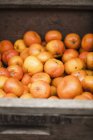 Mandarini maturi e freschi — Foto stock