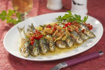 Closeup view of fried sardines with ham and herb — Stock Photo