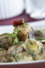 Monkfish fish-balls with clams in green sauce — Stock Photo