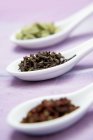 Closeup view of three different spices on ceramic spoons — Stock Photo