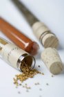 Test tubes with spices — Stock Photo