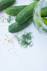 Pickling cucumbers with dill — Stock Photo