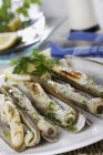 Моллюски в раковинах с овощами и травами на белой тарелке — стоковое фото