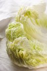 Chinese cabbage leaves — Stock Photo