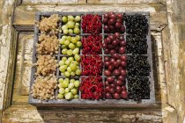Assorted berries in crate — Stock Photo