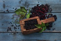 Fresh Elderberries in wooden scoop — Stock Photo