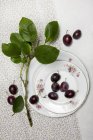 Plums with twig and rustic plates — Stock Photo