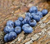 Blueberries on tree bark — Stock Photo