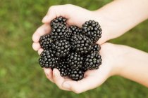 Child holding blackberries — Stock Photo