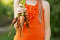 Girl holding carrots — Stock Photo