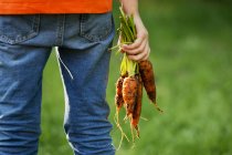 Ребенок держит морковь — стоковое фото
