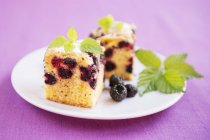 Closeup view of blackberry squares with berries and leaves — Stock Photo