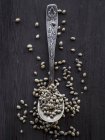 Cannabis grains on a teaspoon — Stock Photo