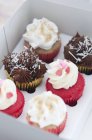 Verschiedene Mini-Cupcakes — Stockfoto