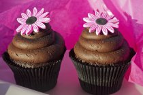 Шоколадные кексы с карамелью — стоковое фото