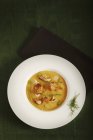 Sopa de champiñones con cebolla de primavera - foto de stock