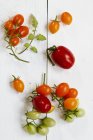 Tomaten-Stillleben über weißem Holz — Stockfoto