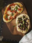 Pizze vegetariane a bordo — Foto stock