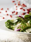 Салат из шпината с клюквенным винегретом — стоковое фото