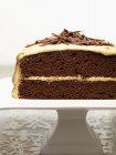 Gâteau au chocolat et carotte — Photo de stock