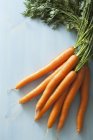 Свежая сырая морковь — стоковое фото