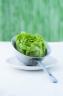 Round lettuce in colander — Stock Photo