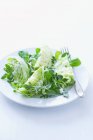 Листя салату з йогуртом — стокове фото