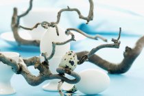 Closeup view of an Easter table decoration with eggs and corkscrew willow — Stock Photo