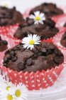 Chocolate muffins with daisies — Stock Photo