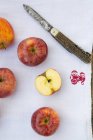 Червоний Royal гала яблука — стокове фото