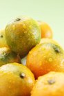 Stack of Wet mandarins — Stock Photo