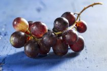 Racimo fresco de uvas - foto de stock